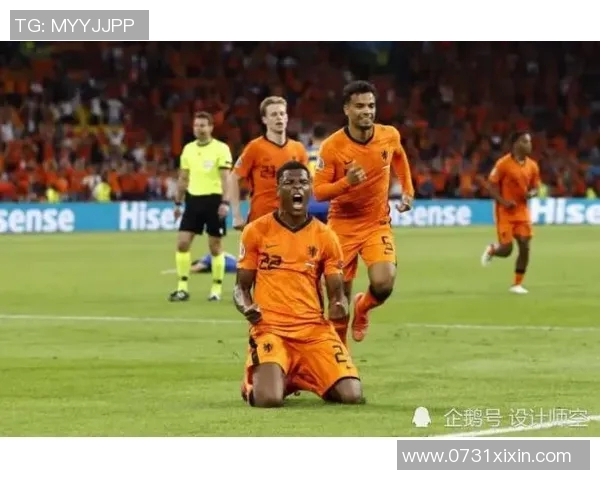 欧洲杯赛事媒体报道及公众关注度 欧洲杯赛事媒体报道及公众关注度